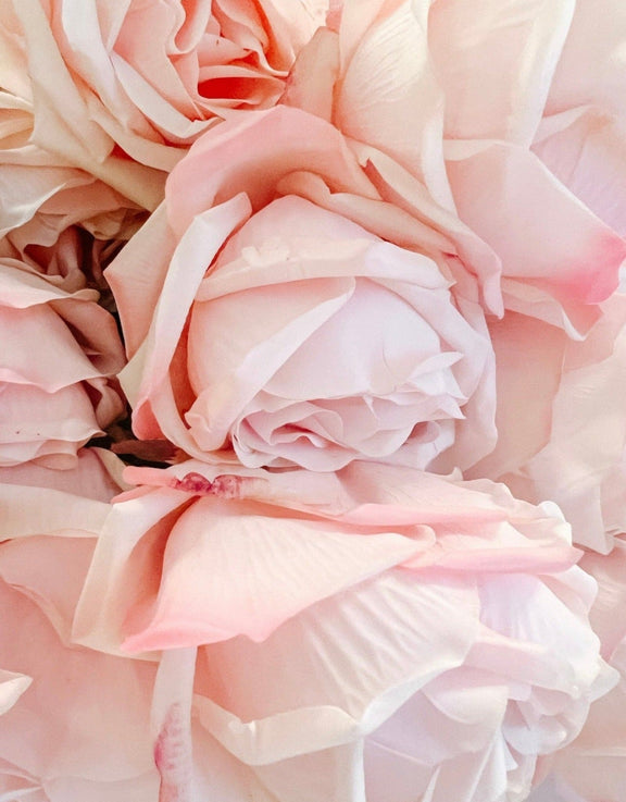 Large Pink Ruffled Rose Stems