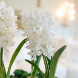 Real Touch Spring Hyacinth Bulb - Ivory Lane Home