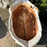 Vintage French Cast Iron Jardinere - Ivory Lane Home