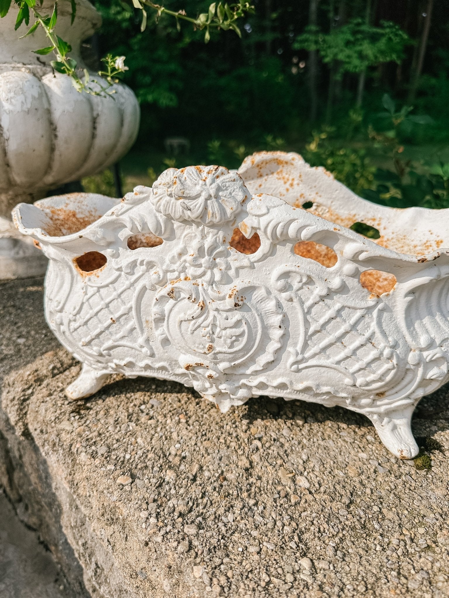 Vintage French Cast Iron Jardinere - Ivory Lane Home